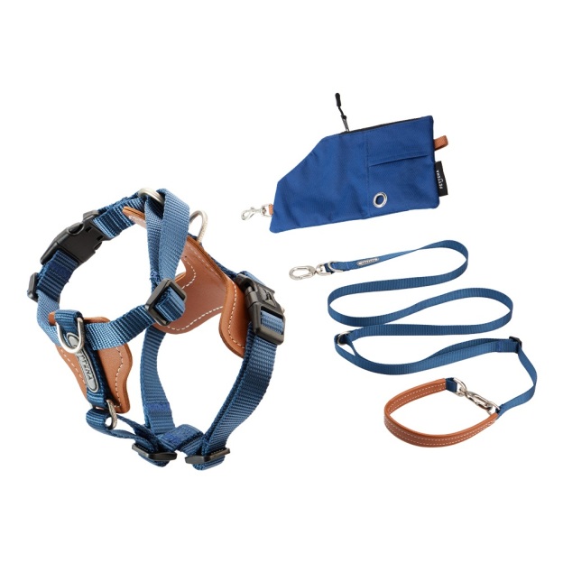 PETTENA 강아지용 리드 어깨 걸이 가방 포함 3종 세트