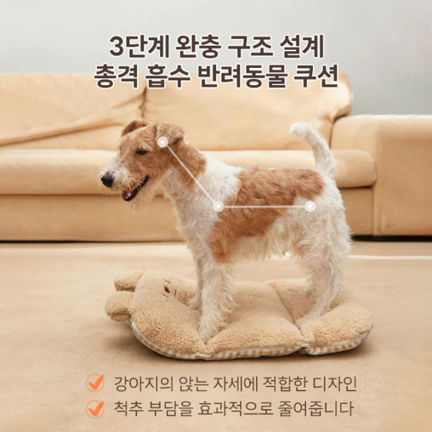 PETTENA 겨울 방한 대책! 부드럽고 귀여운 곰돌이 쿠션 2종 세트