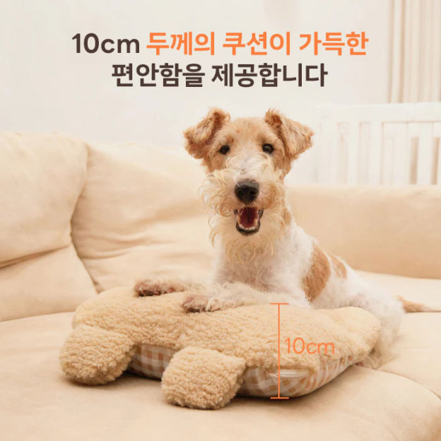 PETTENA 겨울 방한 대책! 부드럽고 귀여운 곰돌이 쿠션 2종 세트