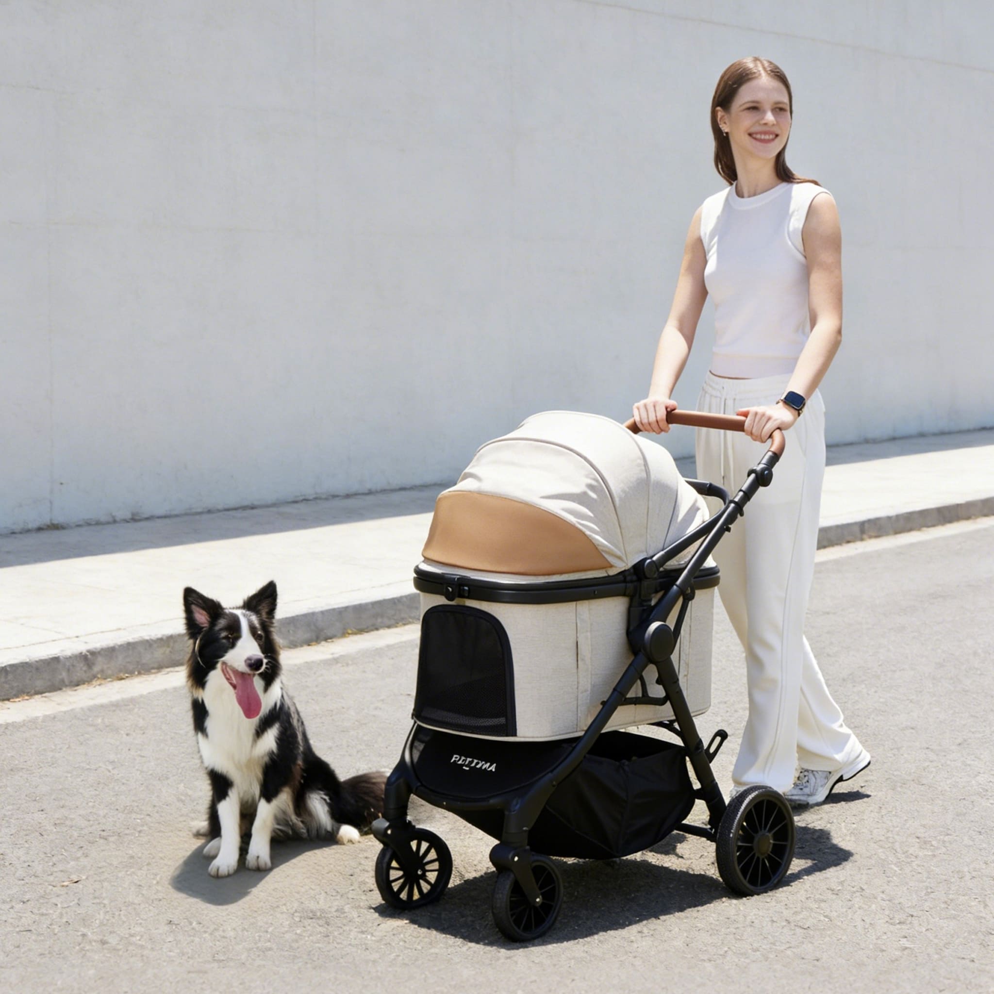 TERRA 중형견용 강아지 유모차 테라