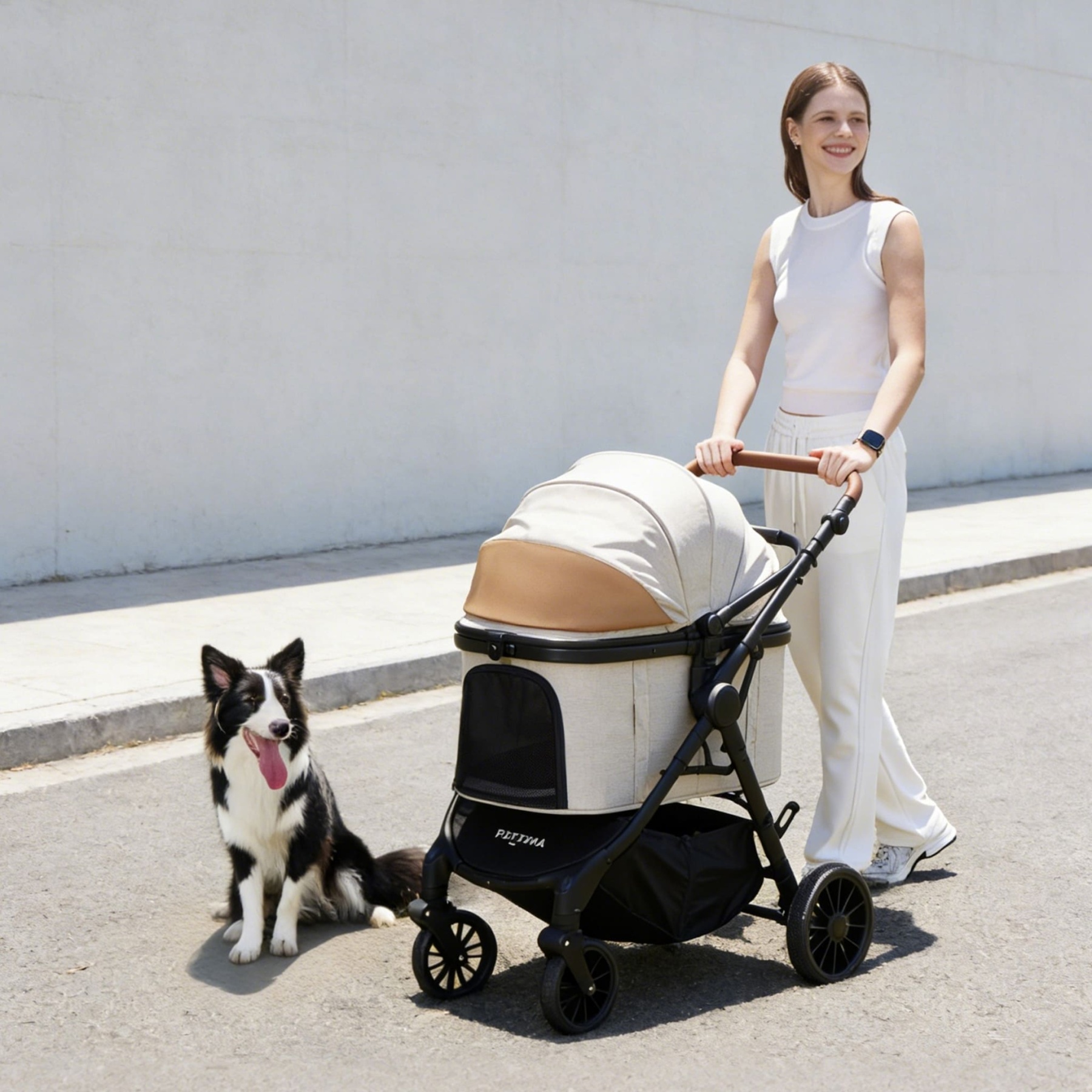 TERRA 중형견용 강아지 유모차 테라