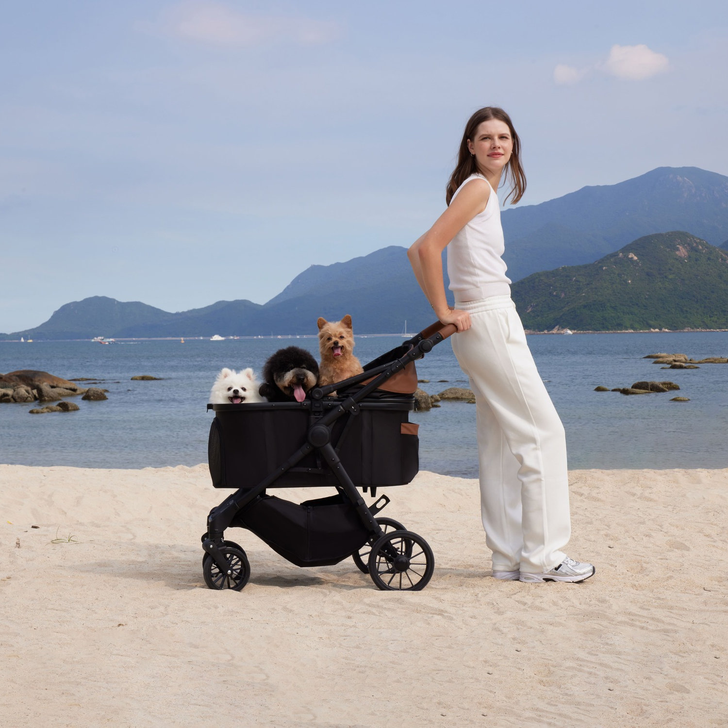TERRA 중형견용 강아지 유모차 테라