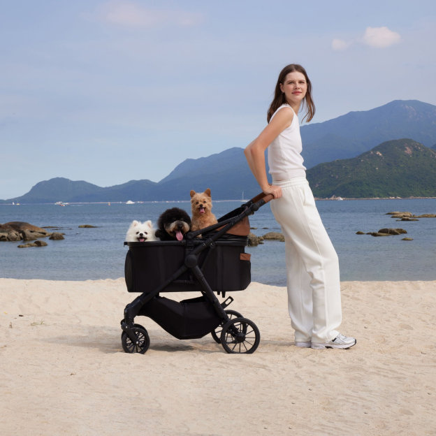 TERRA 중형견용 강아지 유모차 테라
