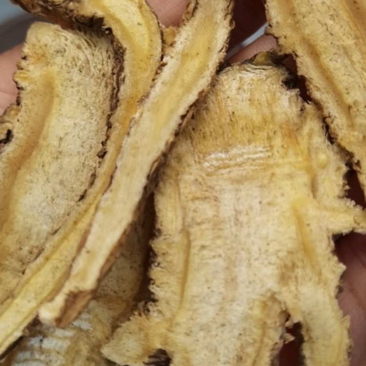 Chinese Angelica Angelicae Sinensis Radix (Dang Gui) dry slice genuine adaptogen Chinese herb tea soup