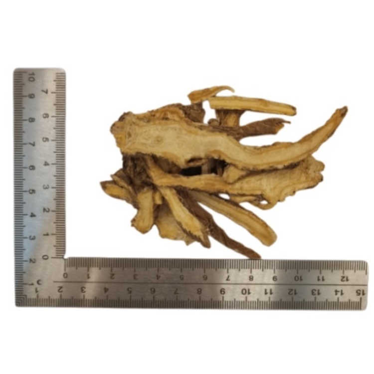 Angelica Chinese Angelica  (Dang Gui) dry slice genuine adaptogen medicinal Chinese herb tea soup