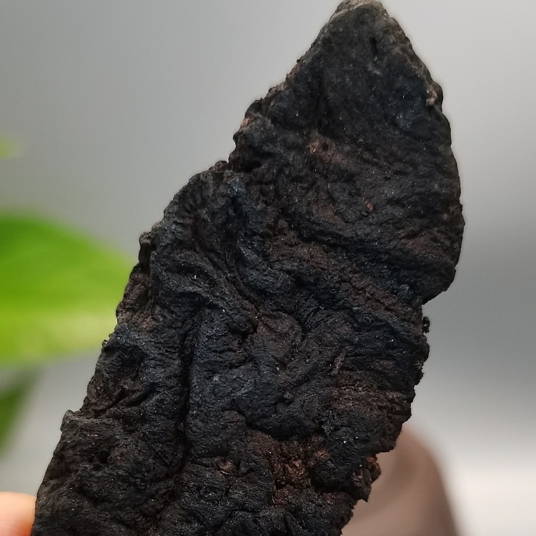 Rehmannia Root Rehmanniae Radix (Di Huang) dry slice genuine adaptogen Chinese herb tea soup