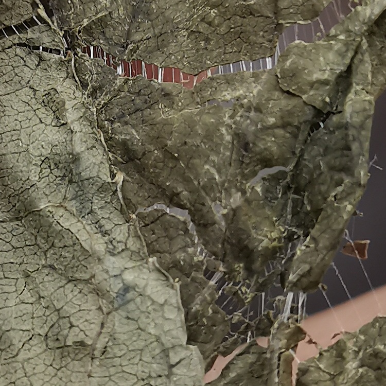 Eucommia Eucommia Leaf  ( Du Zhong Ye ) dry genuine adaptogen medicinal Chinese herb tea soup