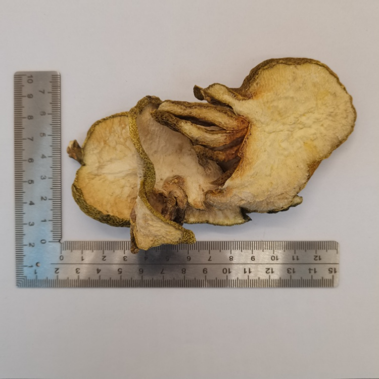 Citrusmedica Finger Citron  (Fo Shou) dry slice genuine adaptogen medicinal Chinese herb tea soup