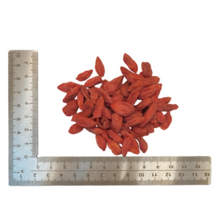 Lycium Barbary Wolfberry Fruit Goji Berry Wolfberry ( Gou Qi Zi ) dry genuine adaptogen medicinal Chinese herb tea soup