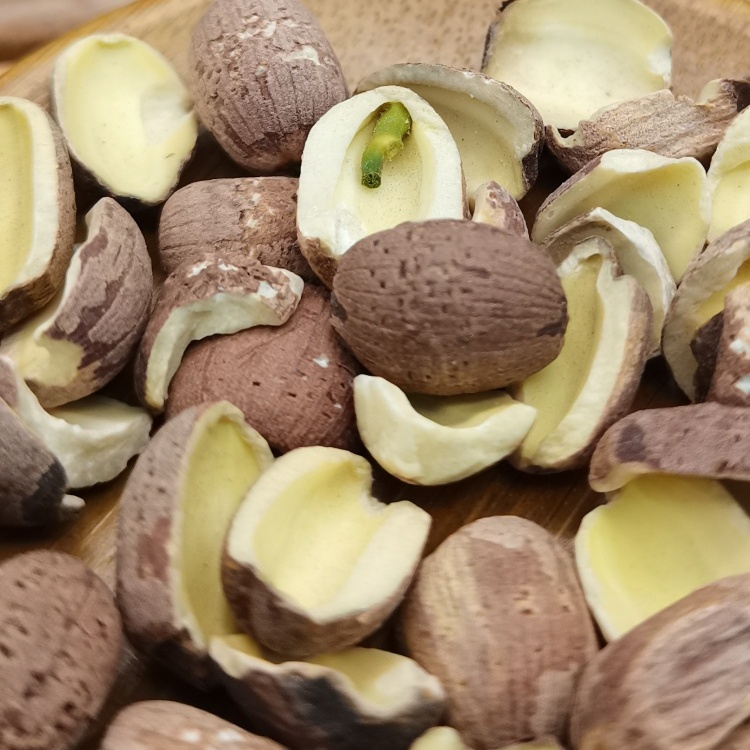 Lotus Seed Nelumbinis Semen (Lian Zi) dry genuine adaptogen Chinese herb tea soup