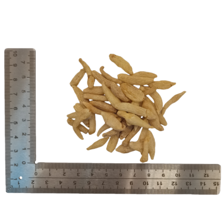 Ophiopogon Dwarf Lilyturf Tuber  (Mai Dong) dry genuine adaptogen medicinal Chinese herb tea soup