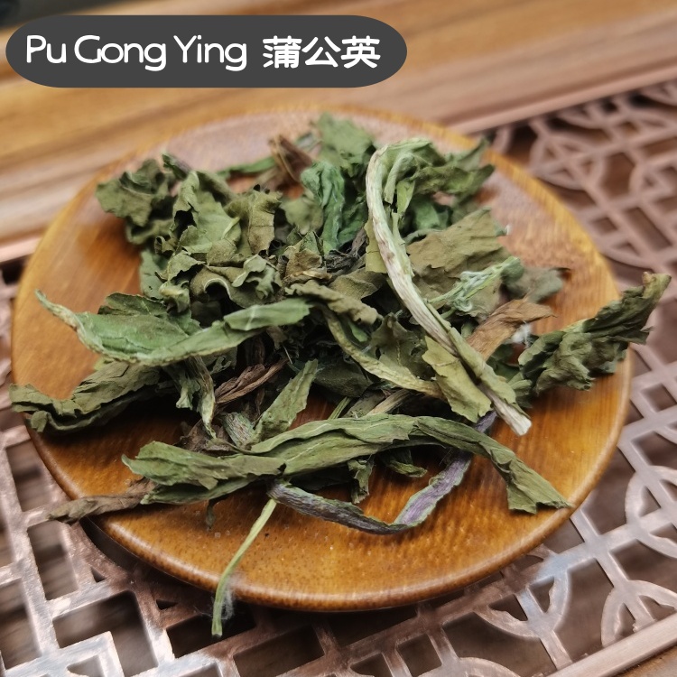 Dandelion Taraxaci Herba (Pu Gong Ying) dry leaf genuine adaptogen Chinese herb tea soup