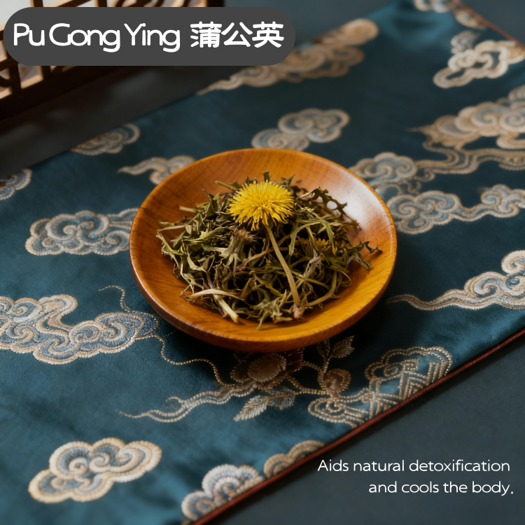 Taraxacum Dandelion  (Pu Gong Ying) dry genuine adaptogen medicinal Chinese herb tea soup