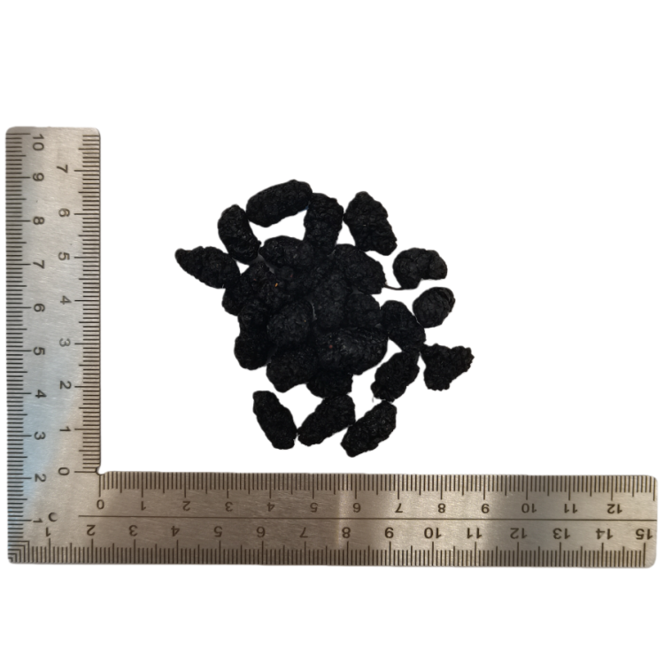 Morus Mulberry Fruit  (Sang Shen) dry genuine adaptogen medicinal Chinese herb tea soup