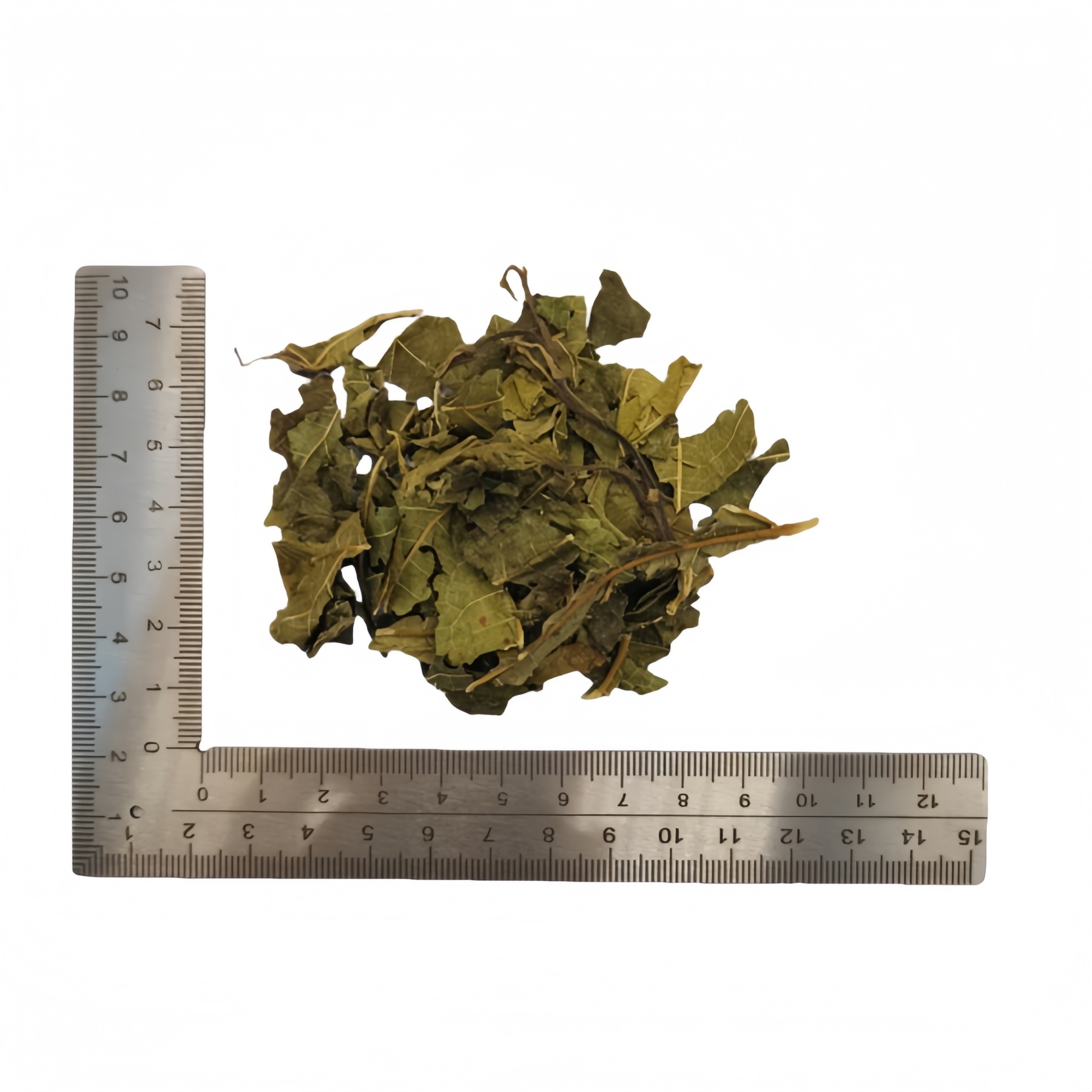 Morus Mulberry Leaf  ( Sang Ye ) dry genuine adaptogen medicinal Chinese herb tea soup