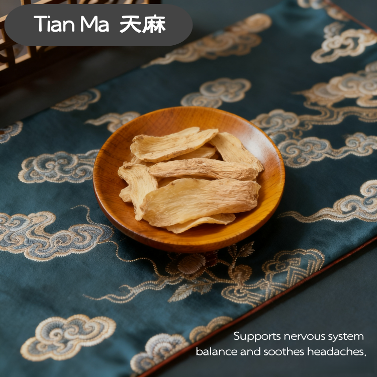 Gastrodia Tall Gastrodia Tuber Gastrodia Tuber ( Tian Ma ) dry slice genuine adaptogen medicinal Chinese herb tea soup