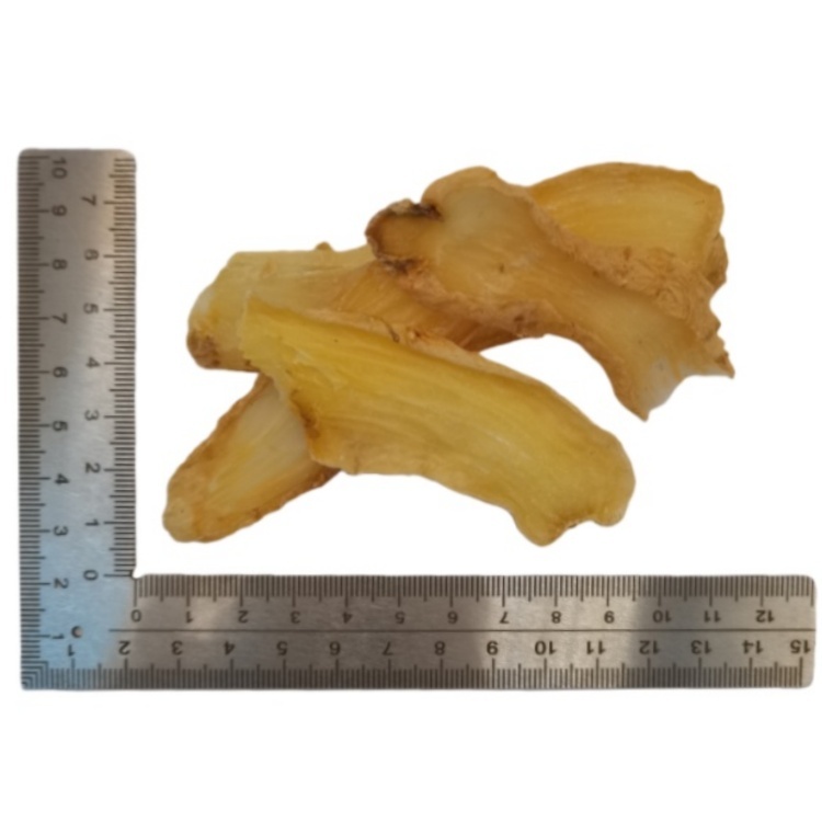 Gastrodia Tall Gastrodia Tuber Gastrodia Tuber ( Tian Ma ) dry slice genuine adaptogen medicinal Chinese herb tea soup