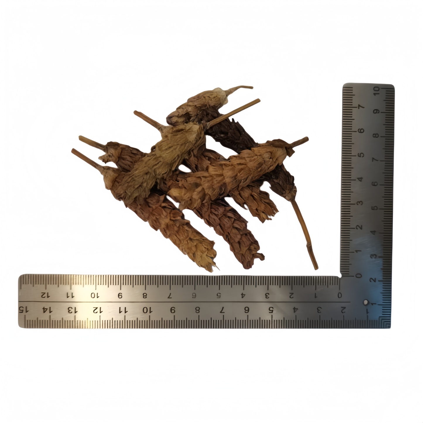 Prunella Selfheal Spike Common Selfheal ( Xia Ku Cao ) dry genuine adaptogen medicinal Chinese herb tea soup