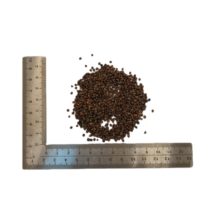 Perilla Perilla Fruit Perilla Seed ( Zi Su Zi) dry genuine adaptogen medicinal Chinese herb tea soup