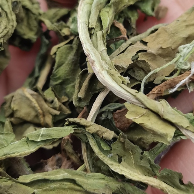 Dandelion Taraxaci Herba (Pu Gong Ying) dry leaf genuine adaptogen Chinese herb tea soup