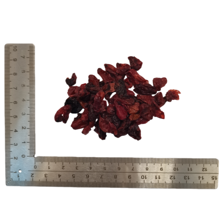 Cornus Asiatic Cornelian Cherry Fruit Common Macrocarpium Fruit (Shan Zhu Yu) dry  genuine adaptogen medicinal Chinese herb tea soup