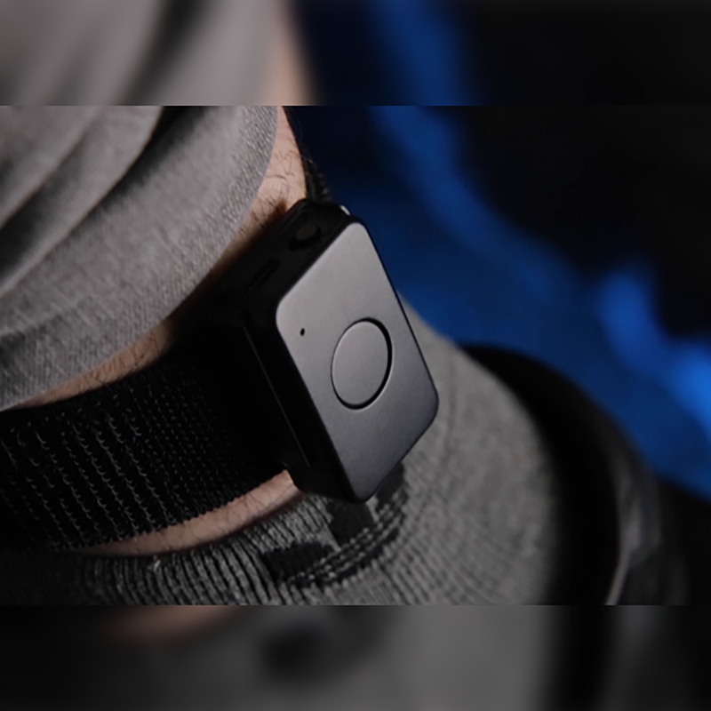 MENTAL DIE by Tony Anverdi