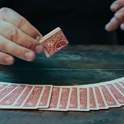 Bill Flash Card 視覺鈔票變牌by Gentlemen's Magic X Michael Chatelain