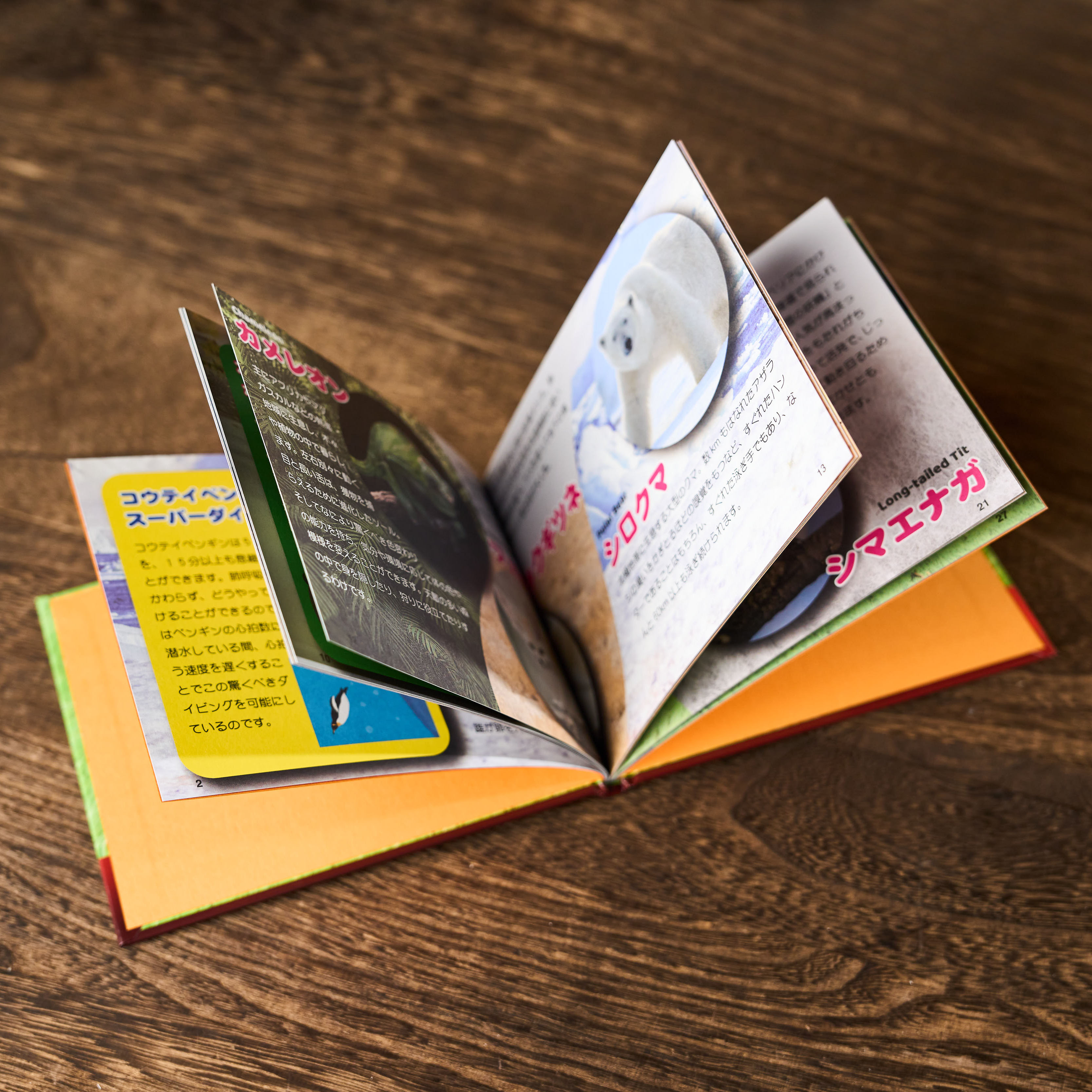 Mentalist's Animal Photo Book 2024 by Tenyo Magic