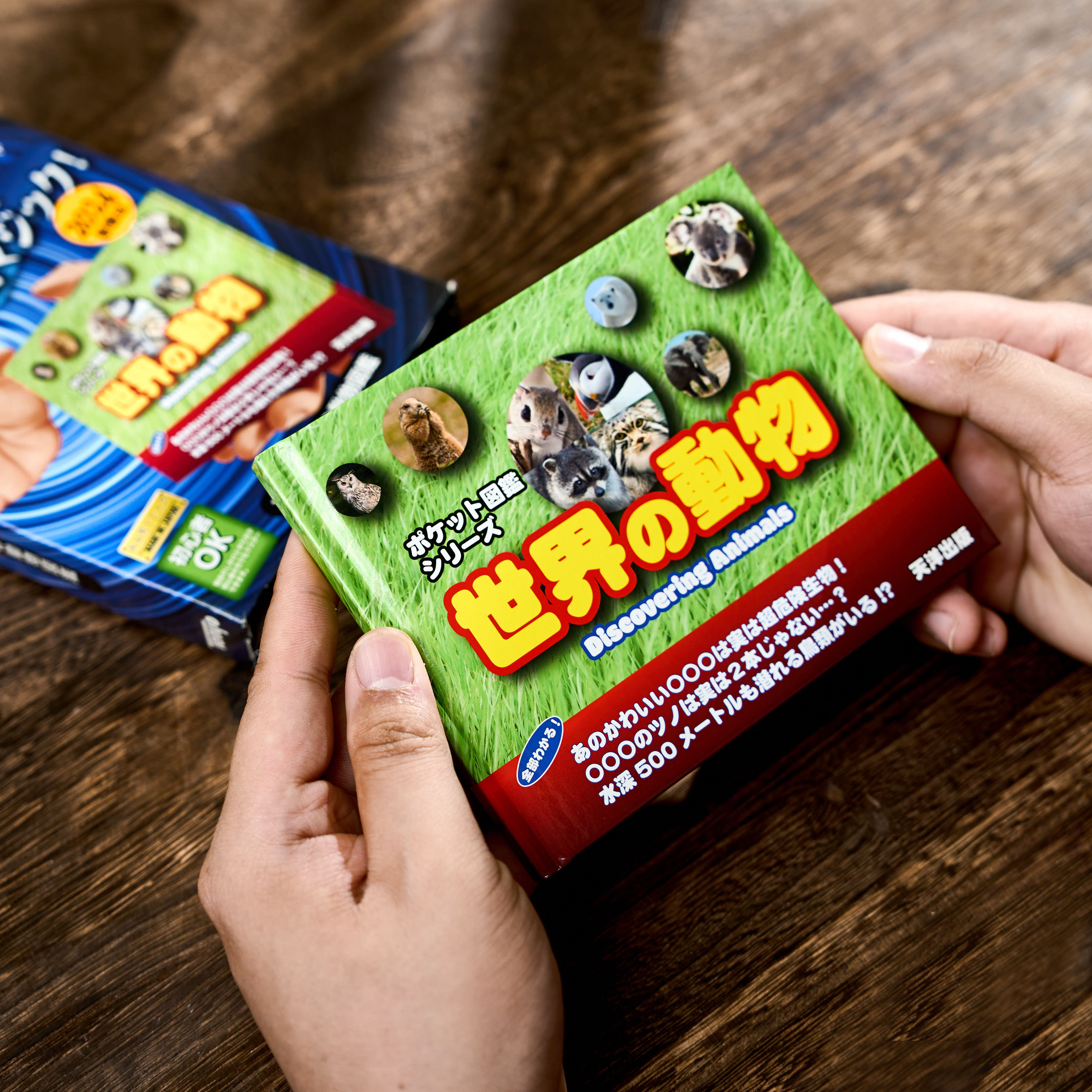 Mentalist's Animal Photo Book 2024 by Tenyo Magic