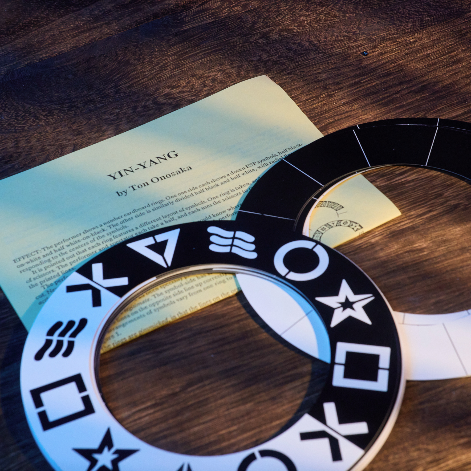 YIN-YANG by Ton Onosaka