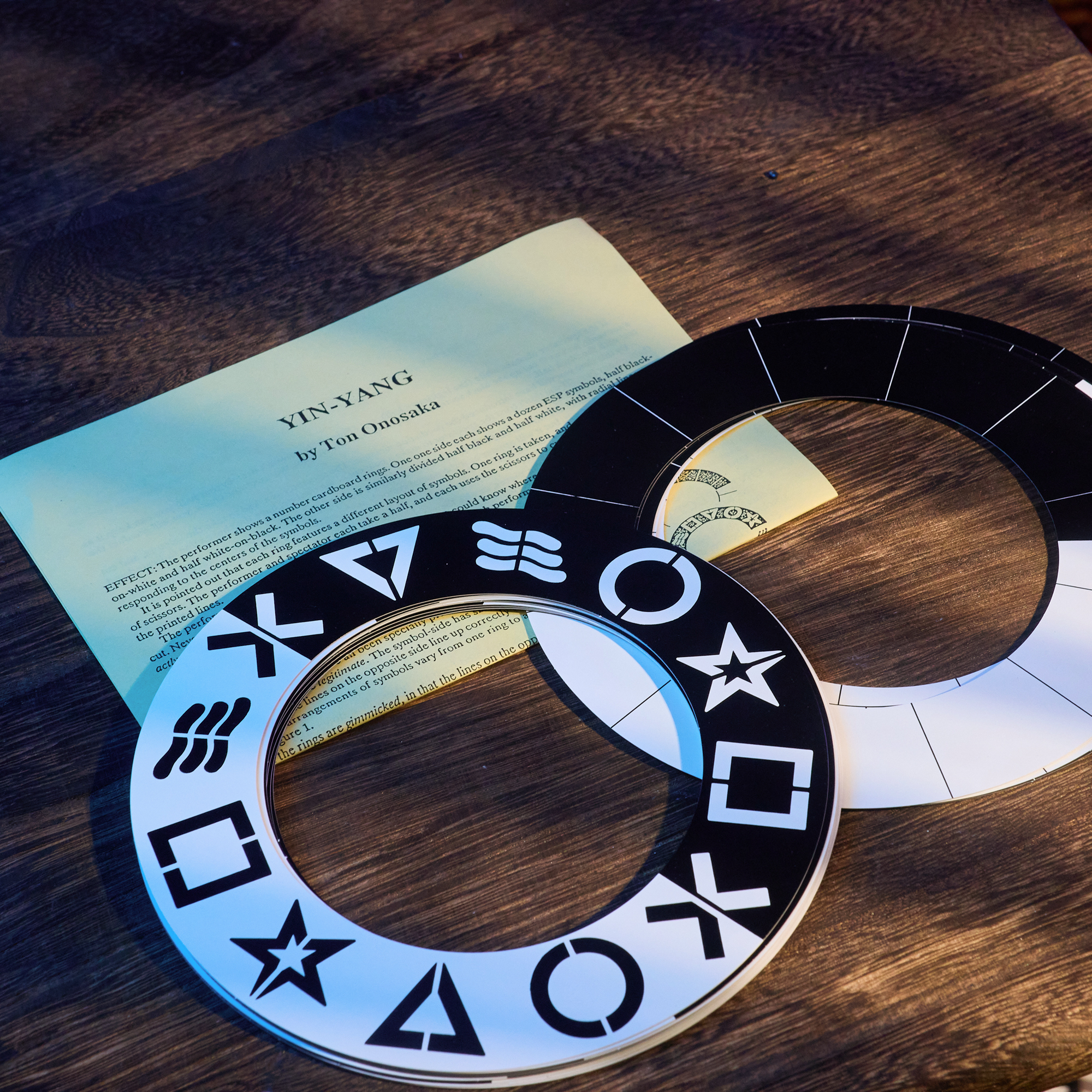 YIN-YANG by Ton Onosaka