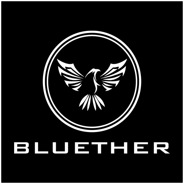 Bluether Magic