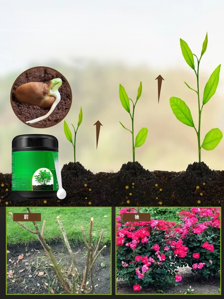 【死了也能活】土壤營養活化劑