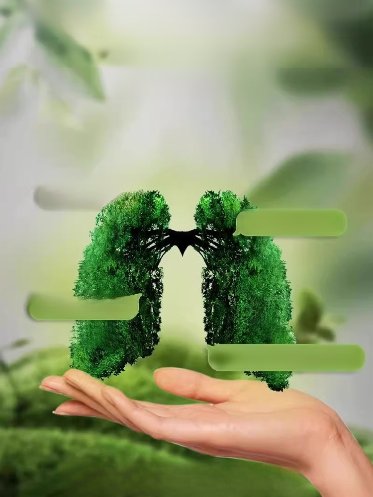 雲南本草槲皮素橘紅噴劑