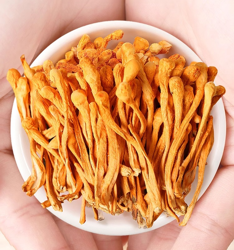 手工挑選純天然無硫蟲草花