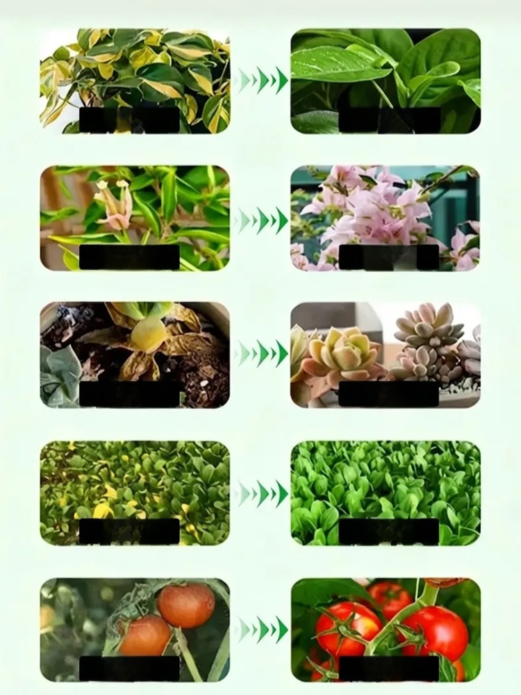 【一瓶煥春】速效有機營養液