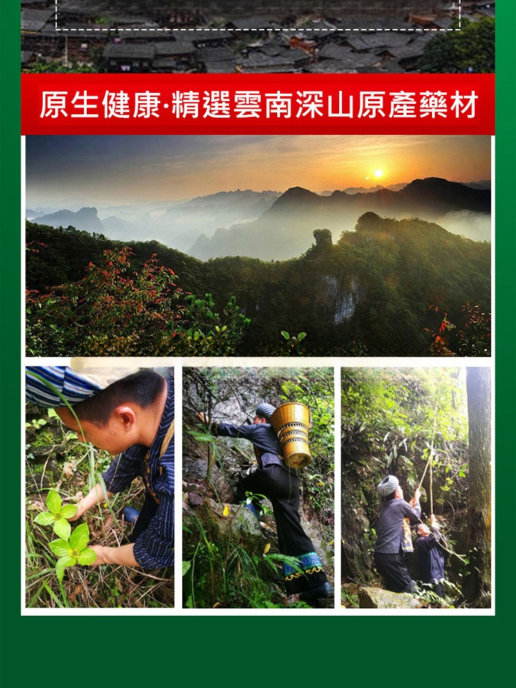 醫用級雲南真菌王