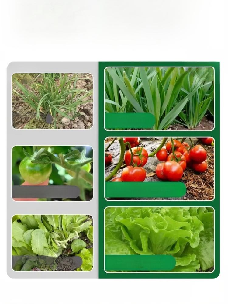 【一包大豐收】生根壯苗膨果增產水溶肥料