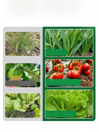 【一包大豐收】生根壯苗膨果增產水溶肥料