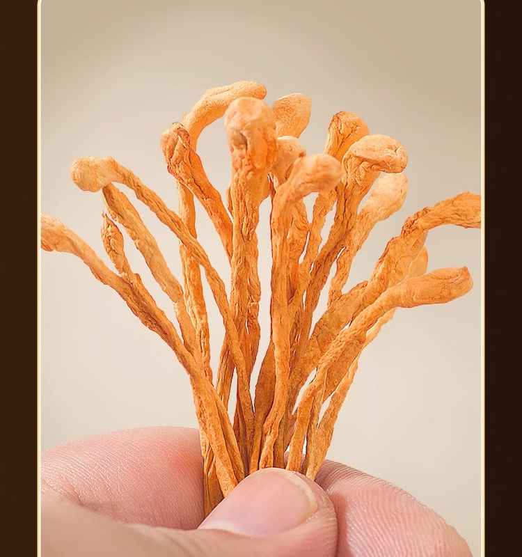 手工挑選純天然無硫蟲草花