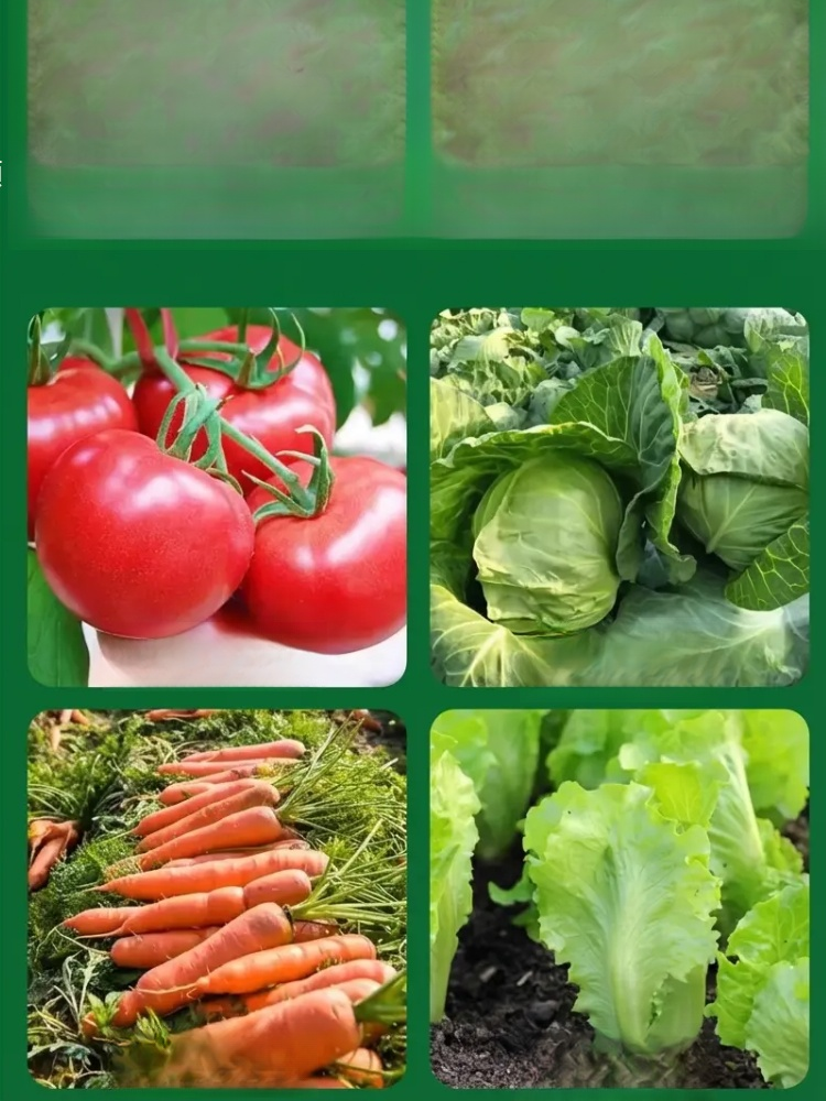 【一包大豐收】生根壯苗膨果增產水溶肥料