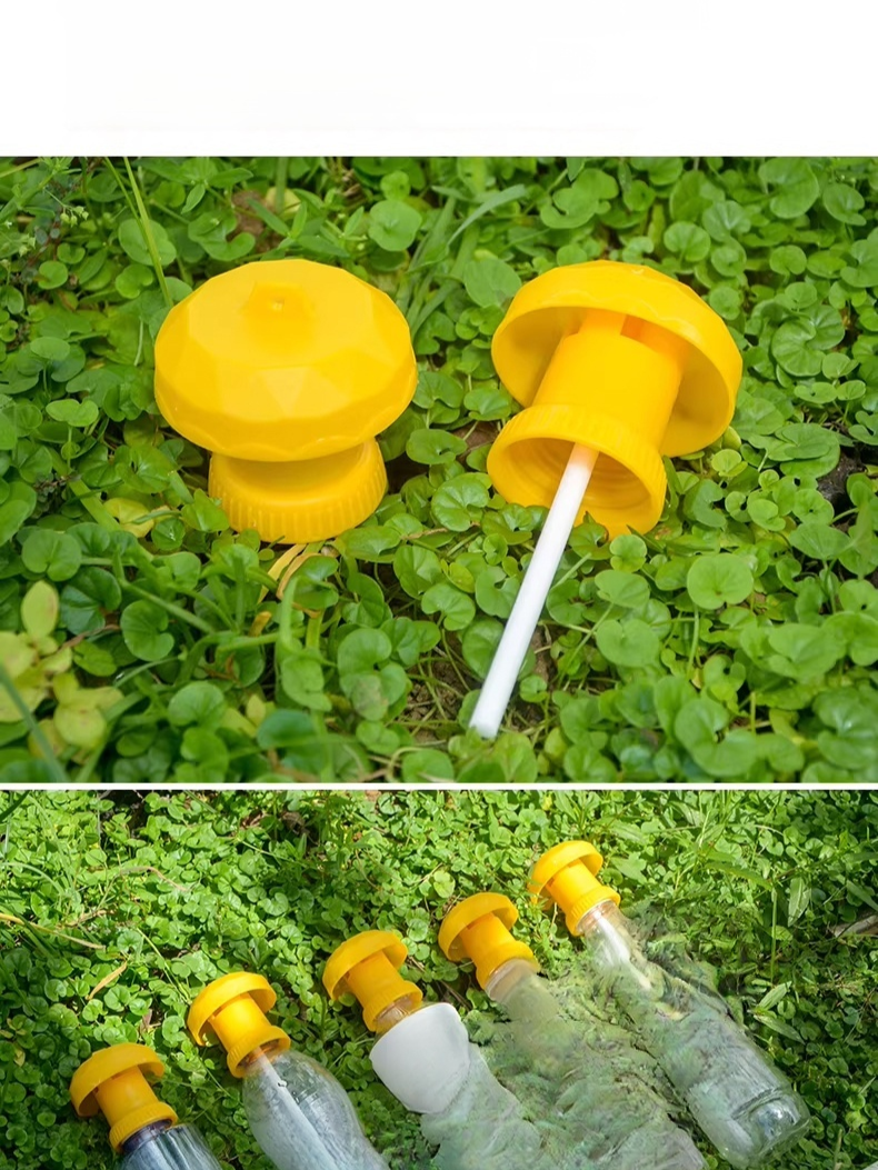 果蠅針蜂引誘劑