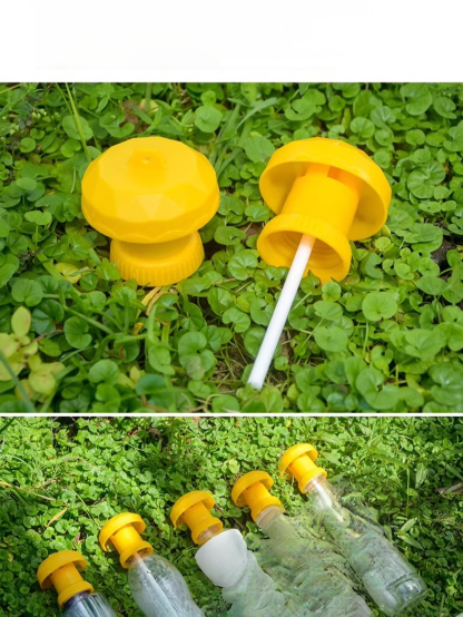 果蠅針蜂引誘劑