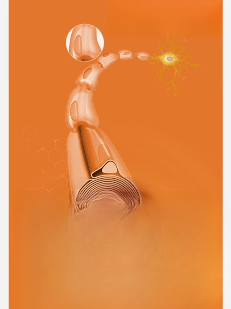 地黃雙參鹿耳丸