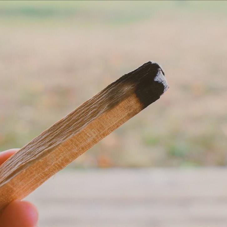 パロサント 聖木 10本 幸運の樹 Palo Santo スティック お香 聖なる木  浄化用 無農薬