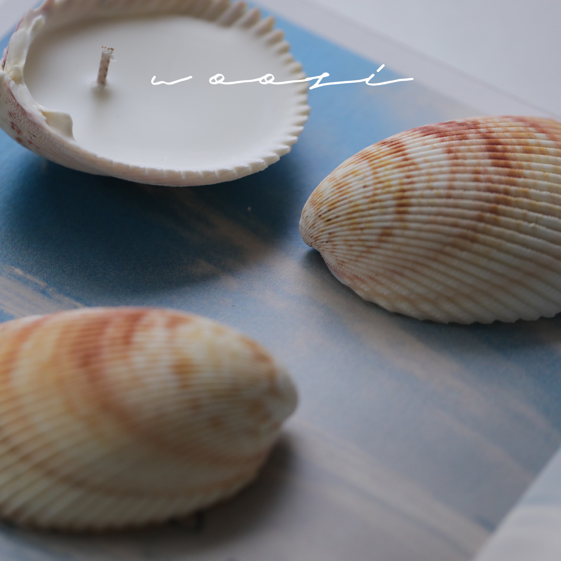 アロマキャンドル 貝殻 キャンドル 煙が出ない ギフト お風呂 瞑想 誕生日 お祝い