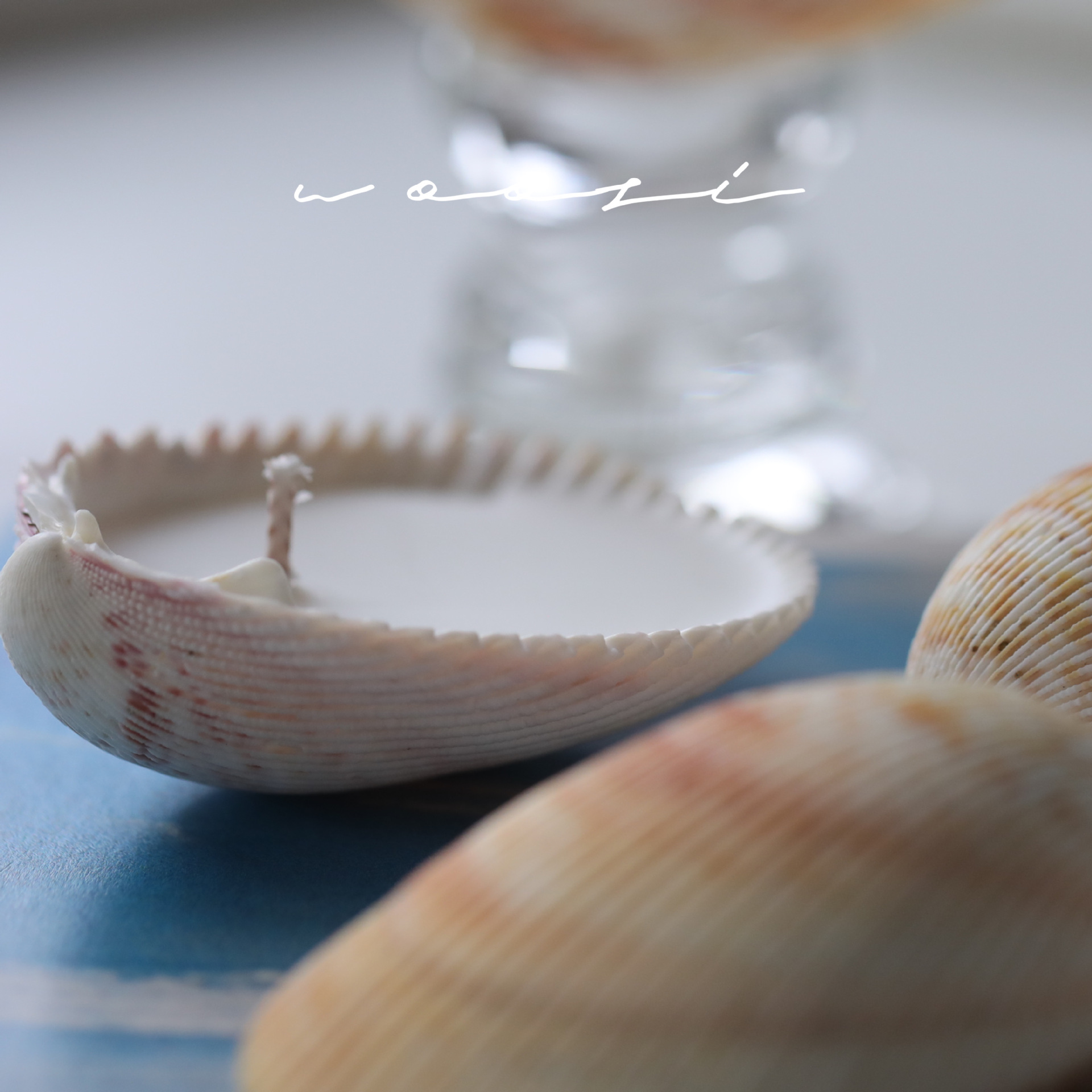 アロマキャンドル 貝殻 キャンドル 煙が出ない ギフト お風呂 瞑想 誕生日 お祝い