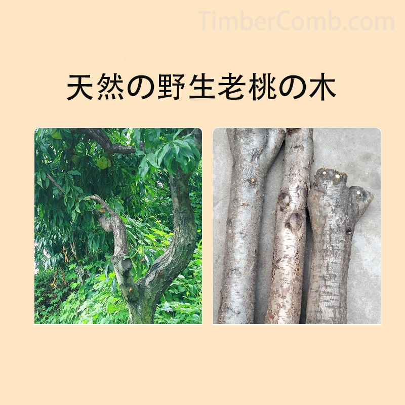 天然の野生老桃の木の数珠 男女兼用 銀の五帝銭で編んだブレスレット 生まれ年の護身用お守り カップル用の手繩