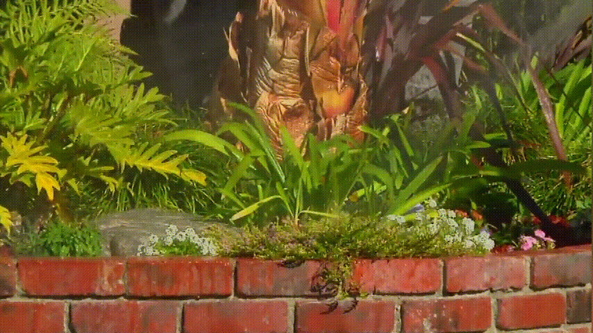 1624701954982265.gif