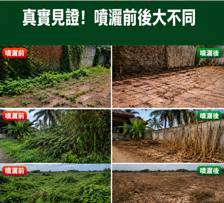 12-925e206f263a840e3f32d34a85da48e6.png